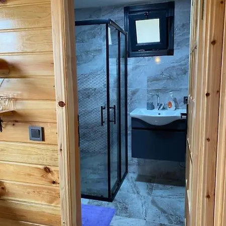 Agaoglu 2 サパンジャ