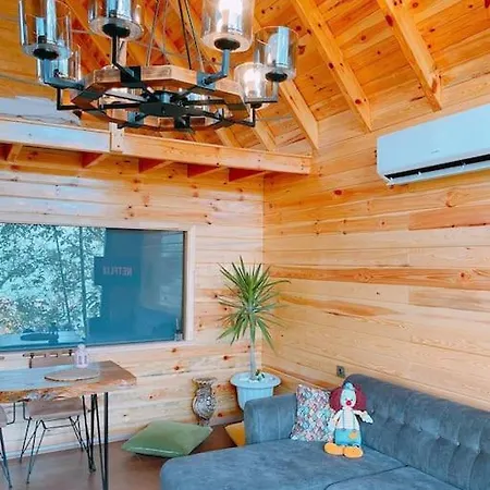 Chalet Agaoglu 2 *